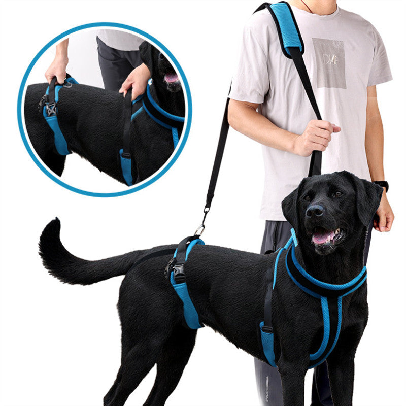 SafeStride Dog Support Harness: Gentle Support, Joyful Strides!
