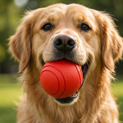 The Unstoppable Squeaky Ball: Endless Fun for Your Best Friend!