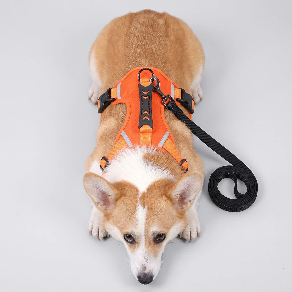 ComfortFit Vest Harness: Adventure-Ready Joy for Every Walk!