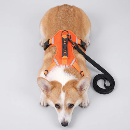 ComfortFit Vest Harness: Adventure-Ready Joy for Every Walk!