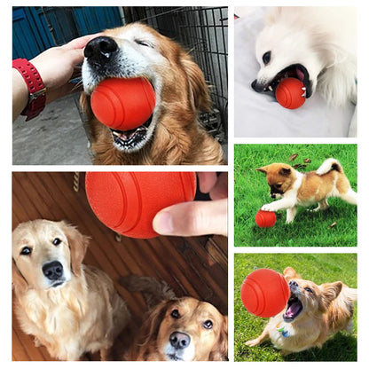 The Unstoppable Squeaky Ball: Endless Fun for Your Best Friend!