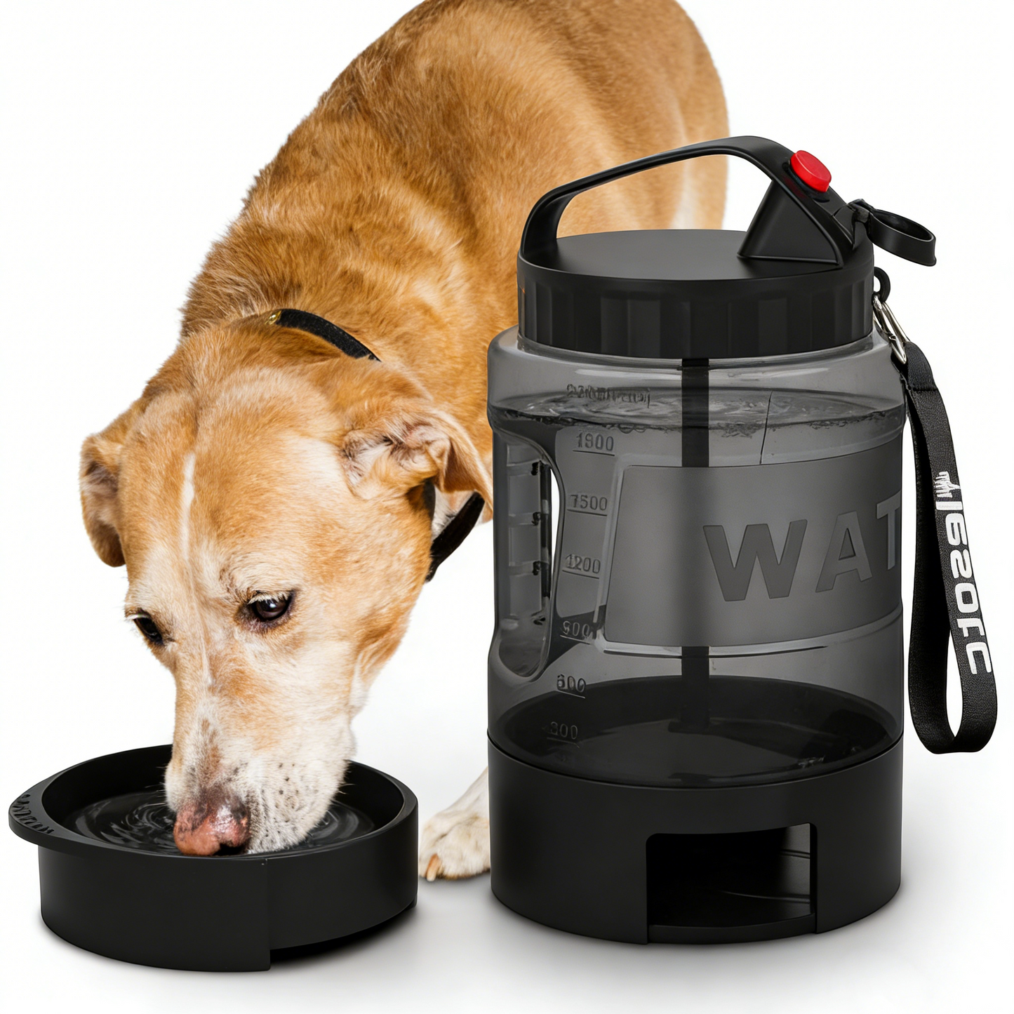 HydroPaws Portable Dog Water Bottle: Fresh Sips, Joyful Trips!