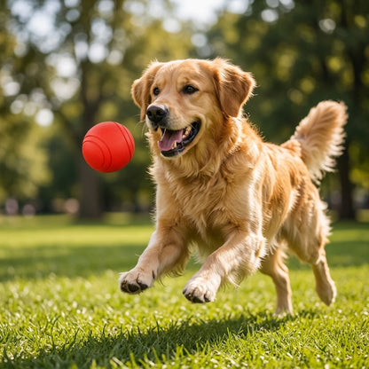 The Unstoppable Squeaky Ball: Endless Fun for Your Best Friend!