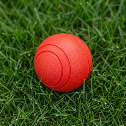 The Unstoppable Squeaky Ball: Endless Fun for Your Best Friend!