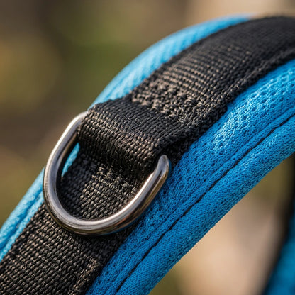 SafeStride Dog Support Harness: Gentle Support, Joyful Strides!