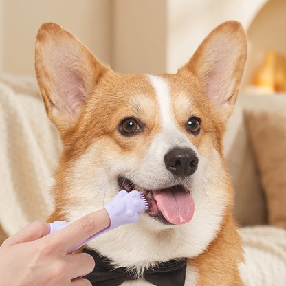 GentleCare Silicone Pet Toothbrush: Gentle Touch, Healthy Mouths!