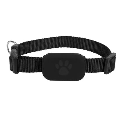 Smart iTag Locator: Your Pet's Safest Adventure, Always Tracked!