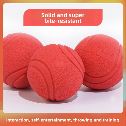 The Unstoppable Squeaky Ball: Endless Fun for Your Best Friend!