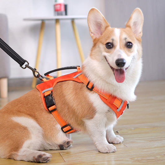 ComfortFit Vest Harness: Adventure-Ready Joy for Every Walk!