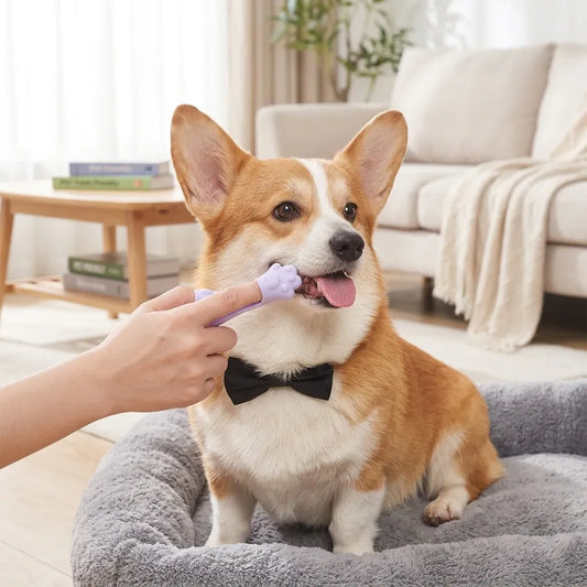 GentleCare Silicone Pet Toothbrush: Gentle Touch, Healthy Mouths!